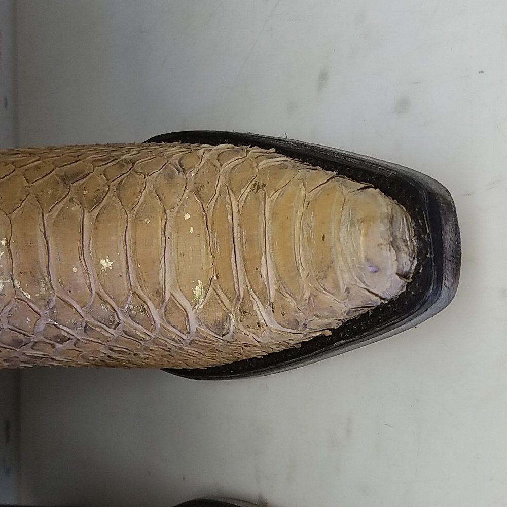 New Womens Corral A4297 Full Python - image 6